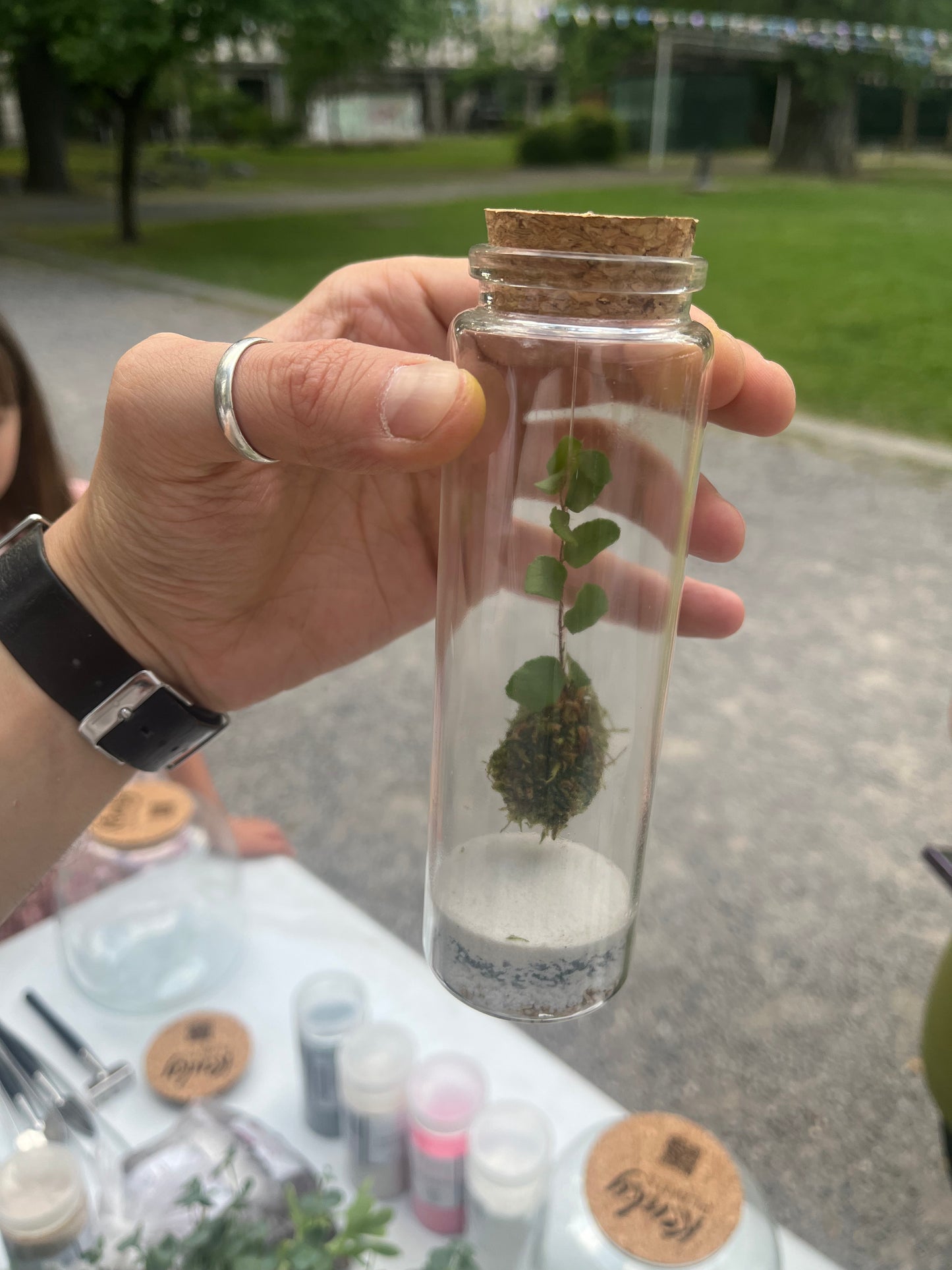Handmade Terrariums – Little Worlds, Big Charm