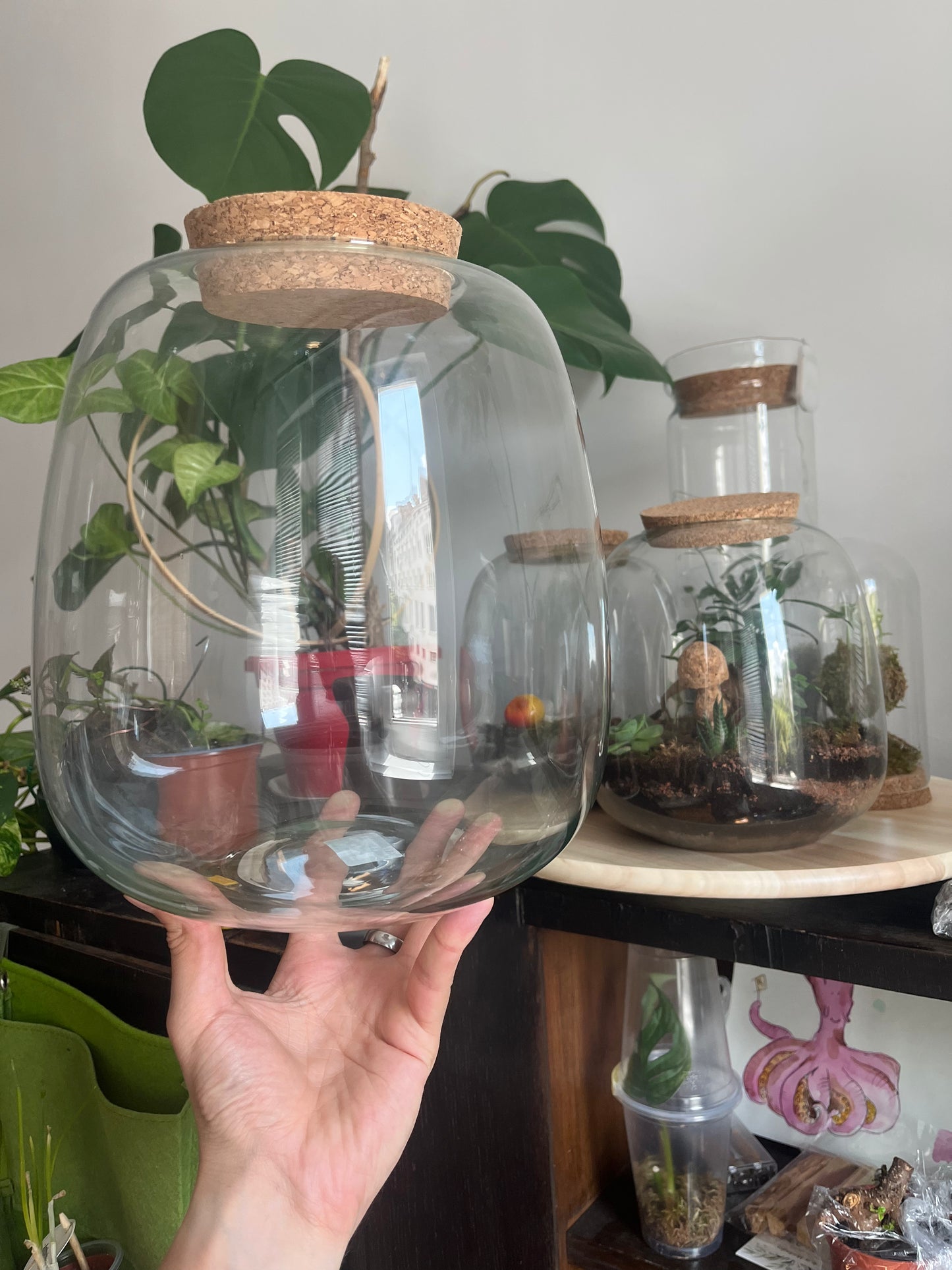 Terrarium Glass Container - Cork Top