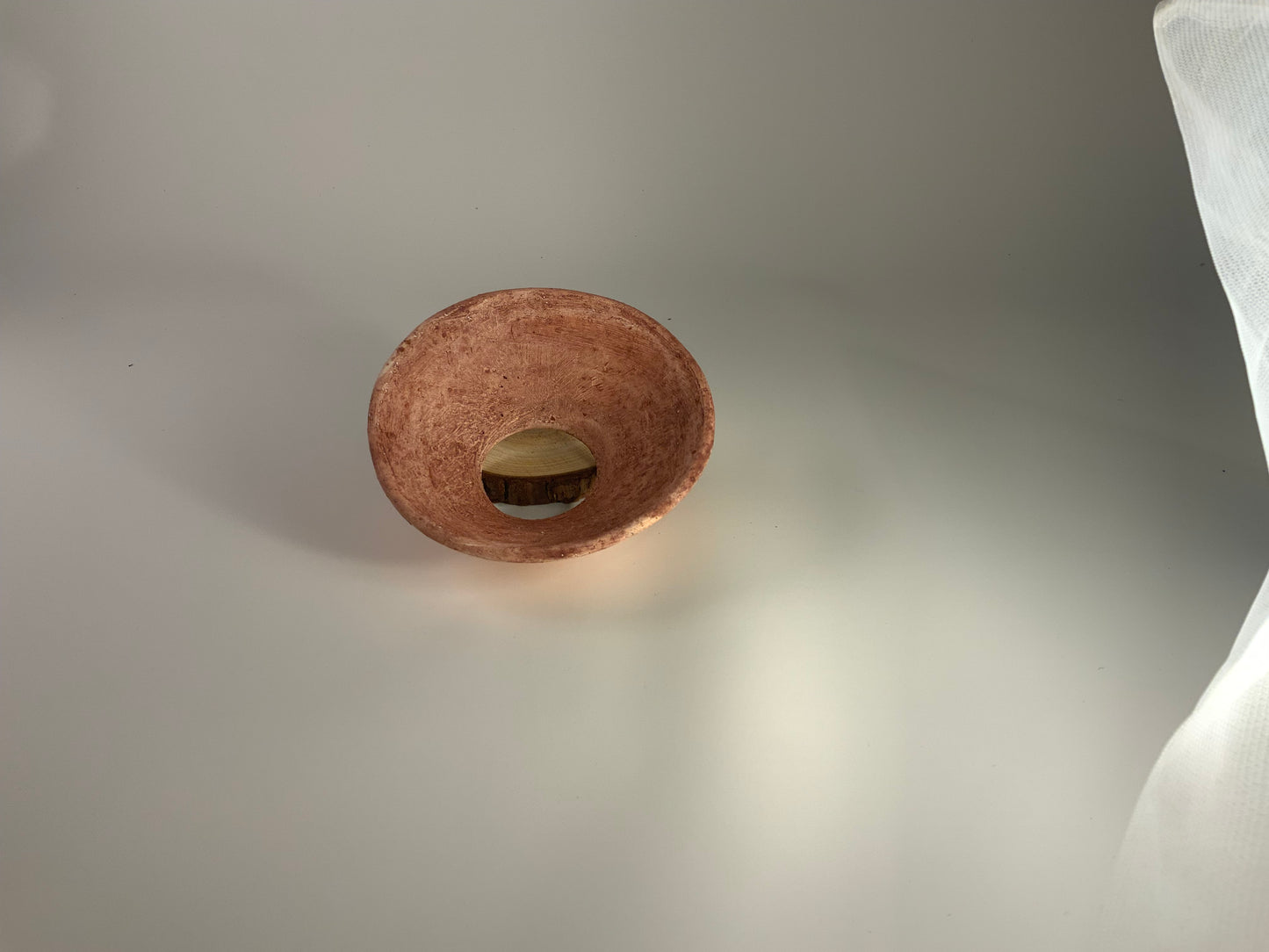 Porcelain Handmade Propagation Cone - Mystery Box