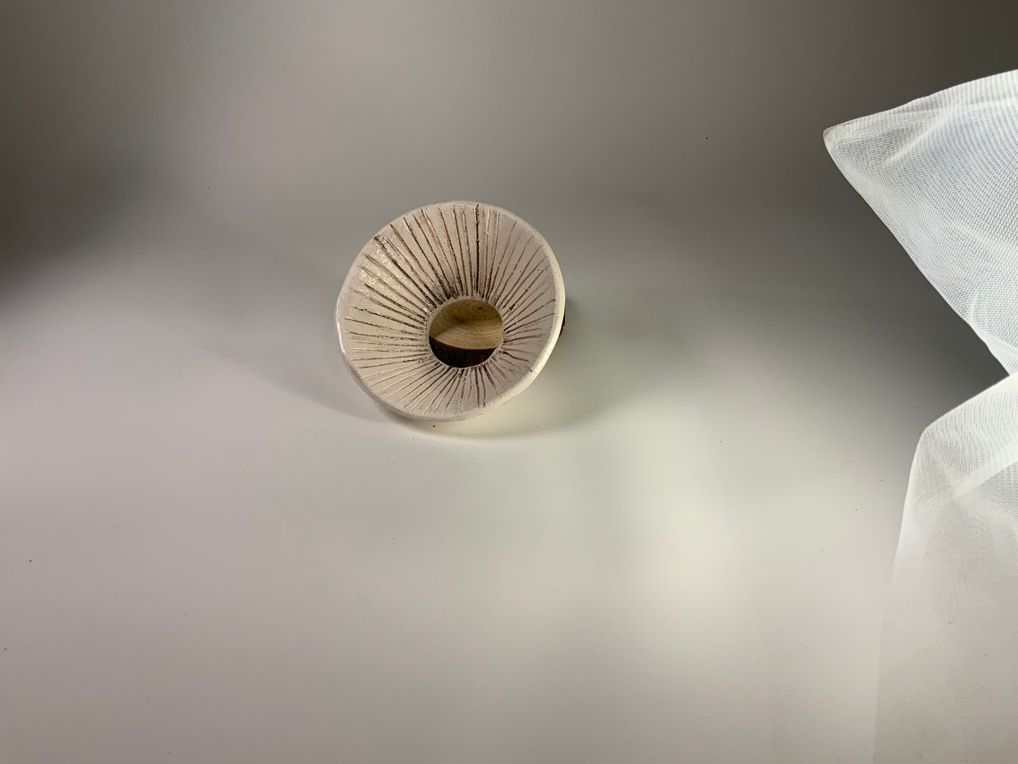 Porcelain Handmade Propagation Cone - Mystery Box