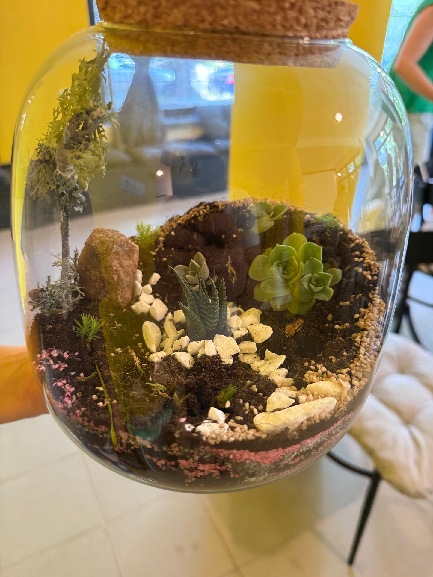 Terrarium Glass Container - Cork Top