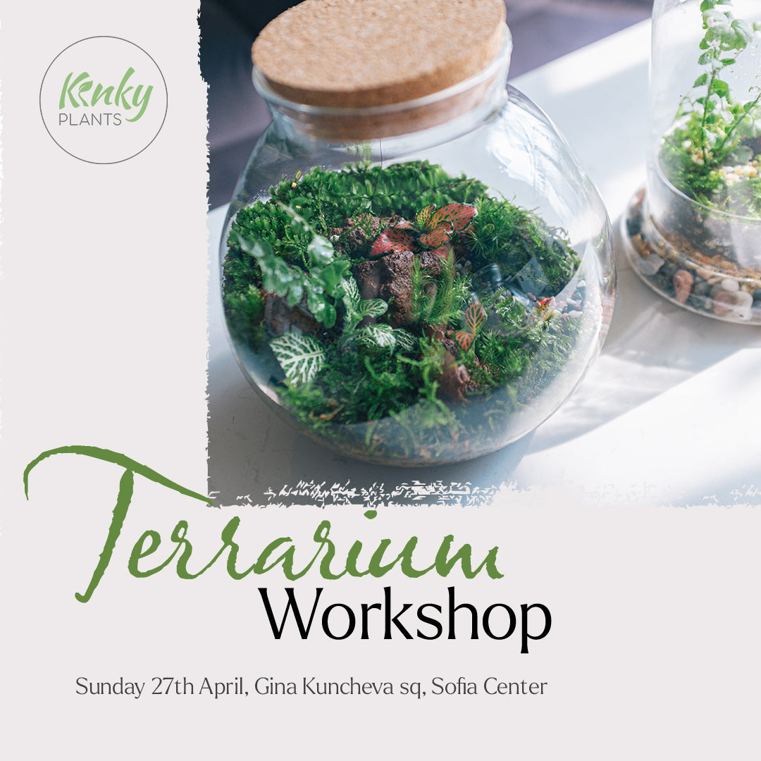 Terrarium Workshop - Sofia 27th April