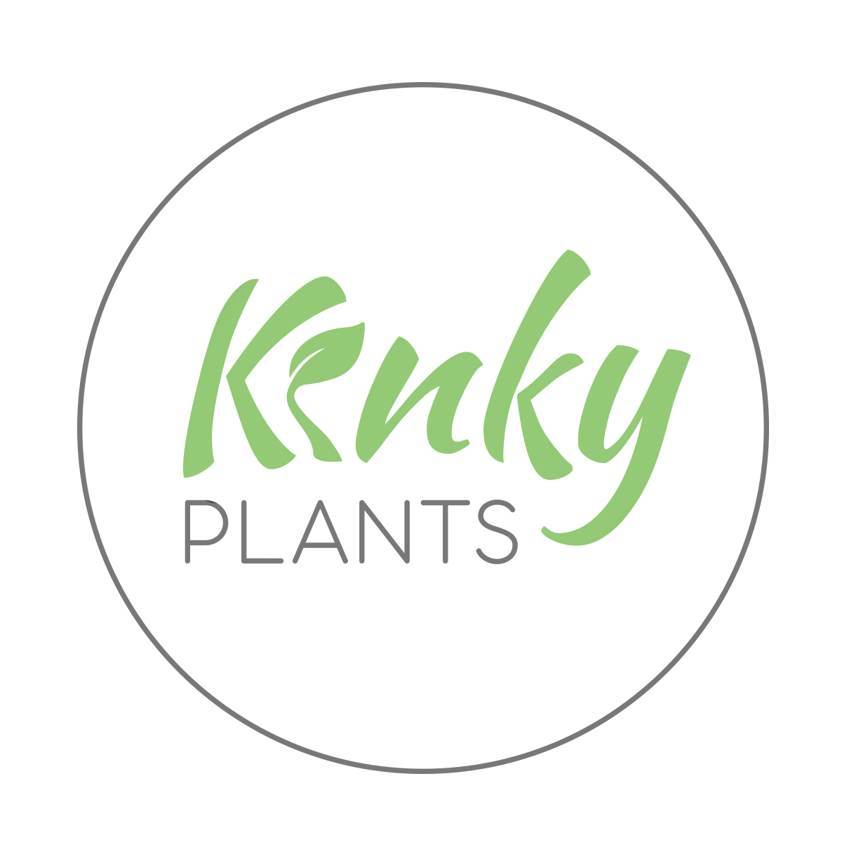 Indoor minimalist Kinky Plants indoor-minimalist-kinky-plants