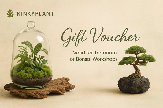 Worckshops Gift Card