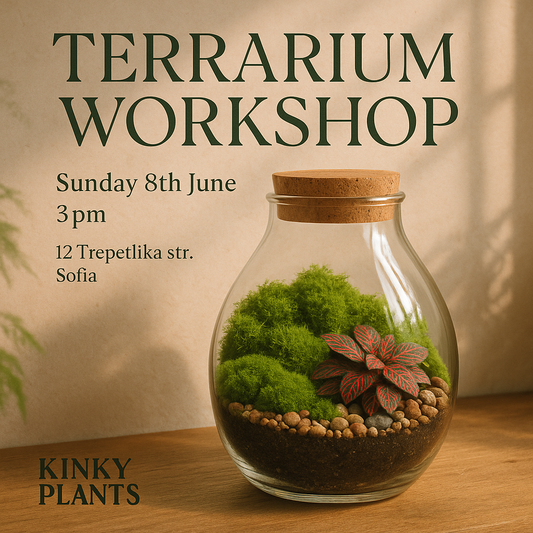 Terrarium Workshop - 8th June Sofia