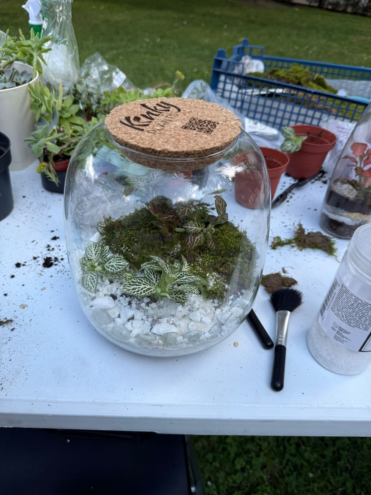 Terrarium Workshop - 28th September Sofia