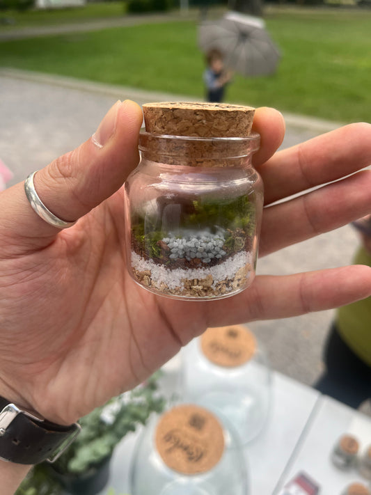Handmade Terrariums – Little Worlds, Big Charm