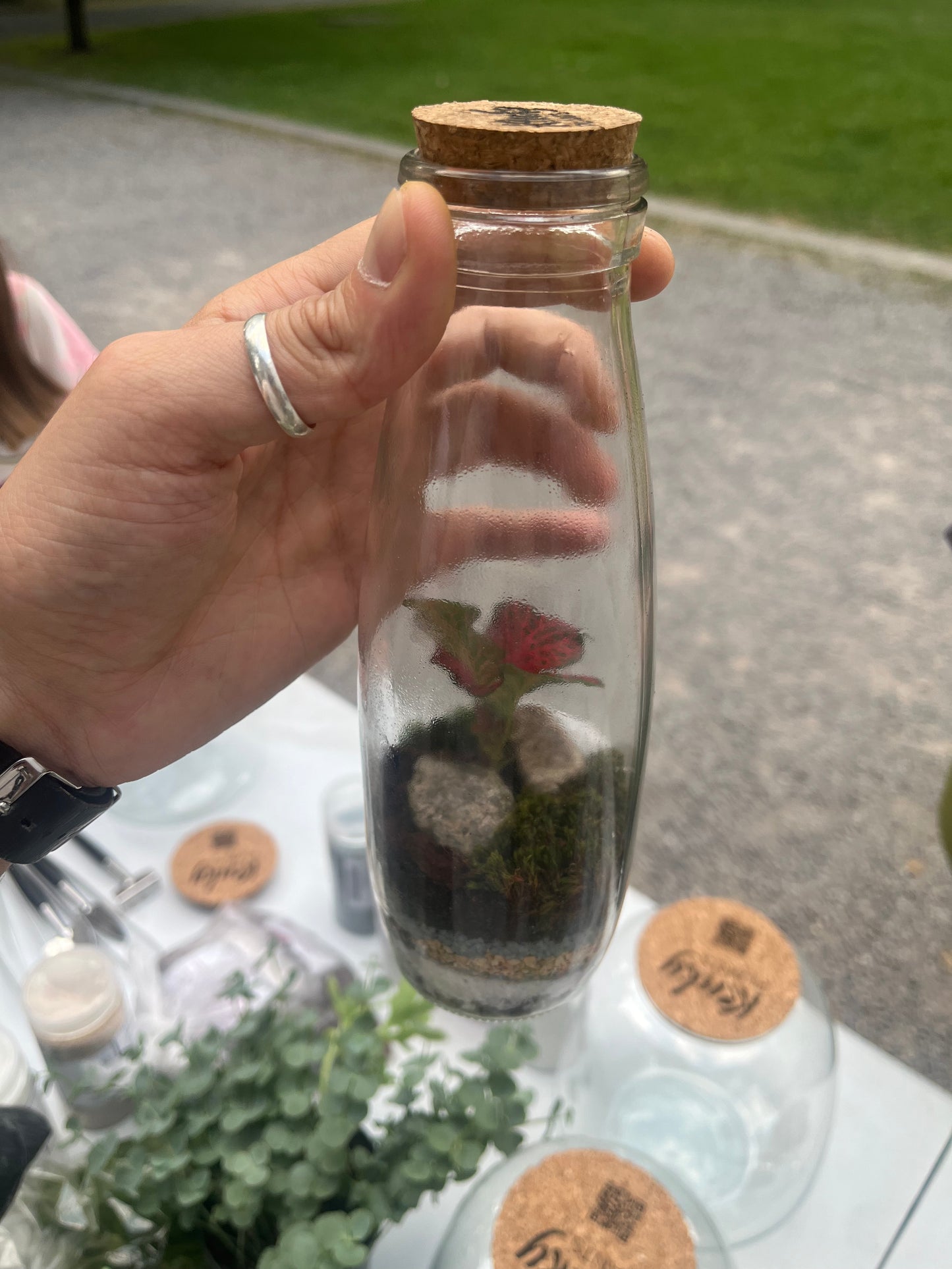 Handmade Terrariums – Little Worlds, Big Charm