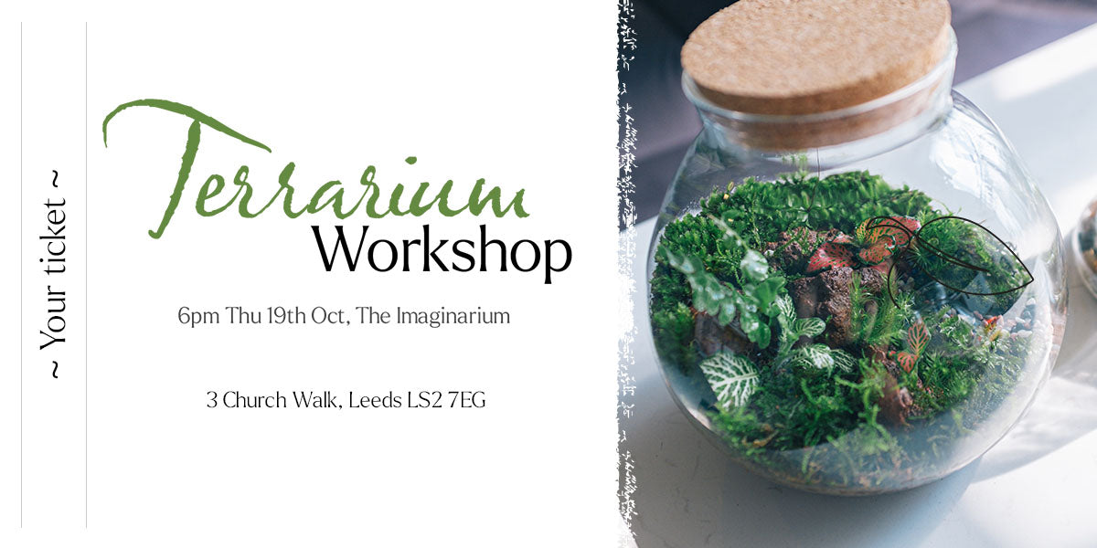 Terrarium Workshop - Leeds Vol. 1