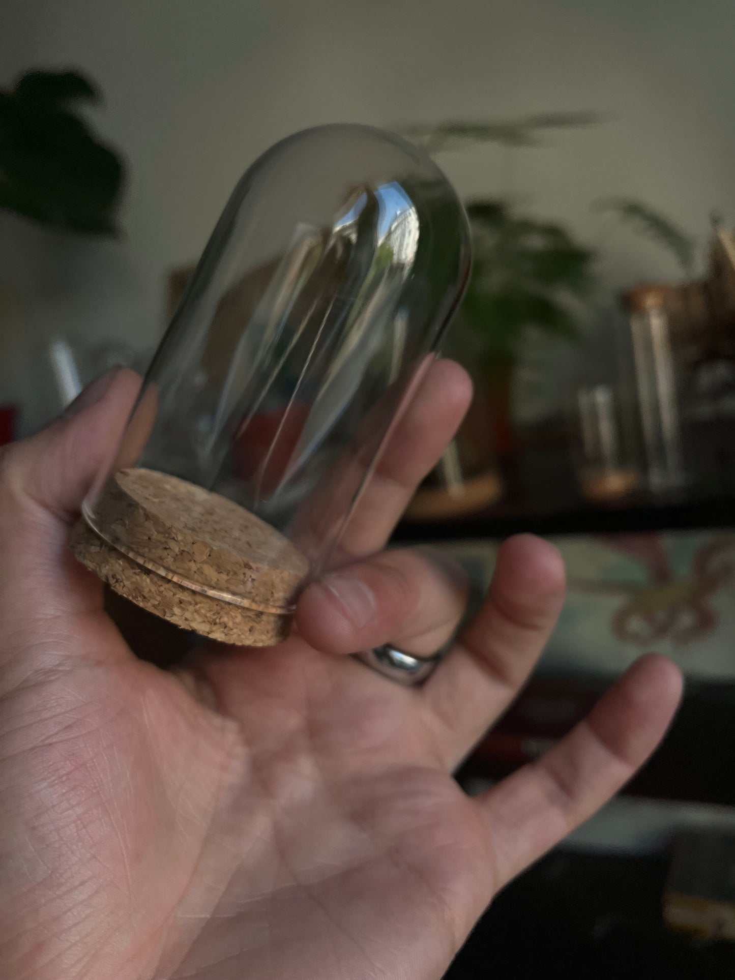 Terrarium Glass Container - Cork Top