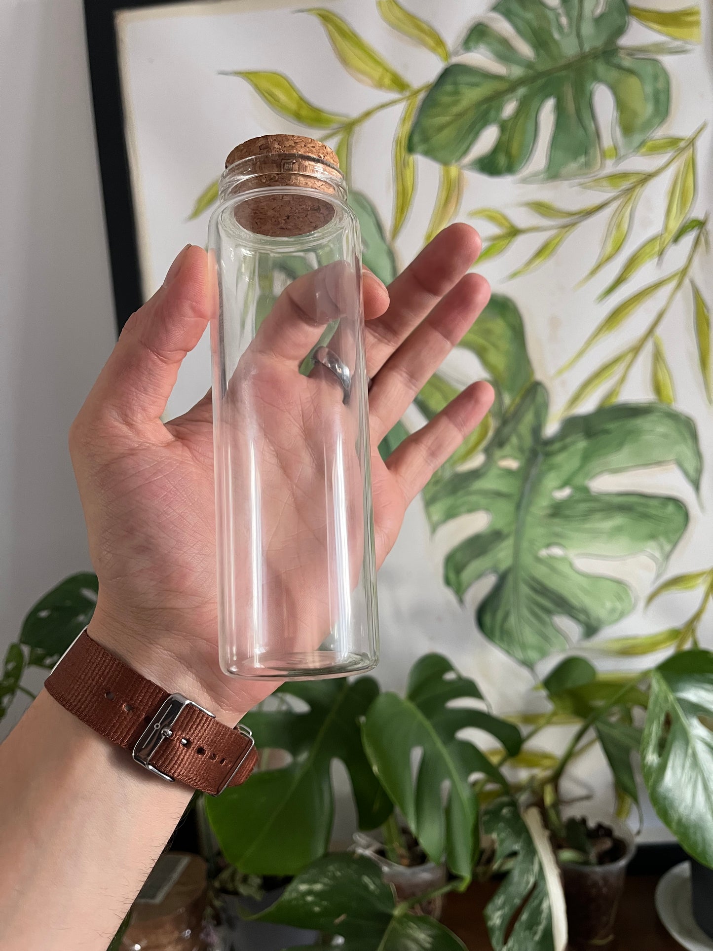Terrarium Glass Container - Cork Top