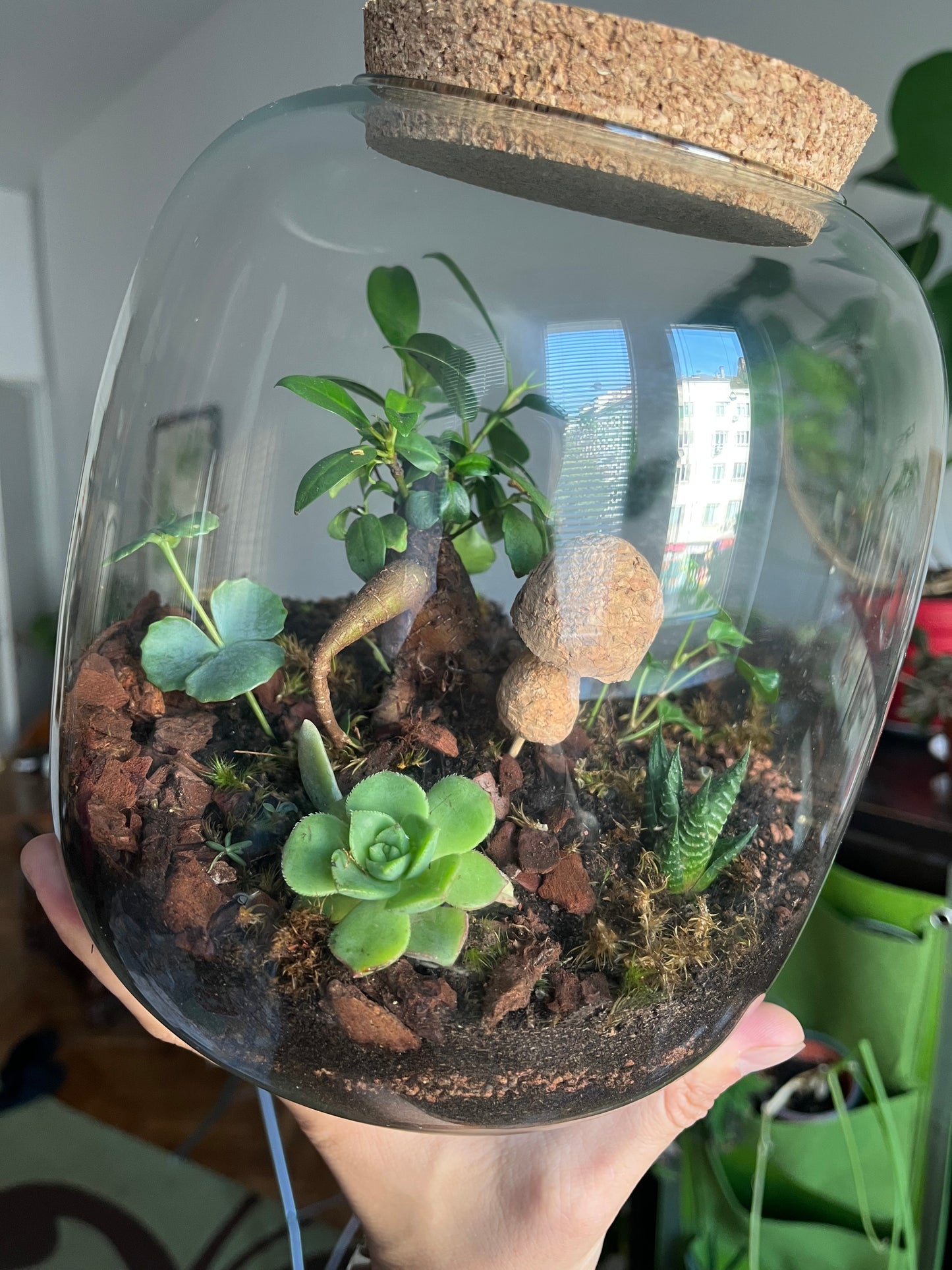 Terrarium Glass Container - Cork Top