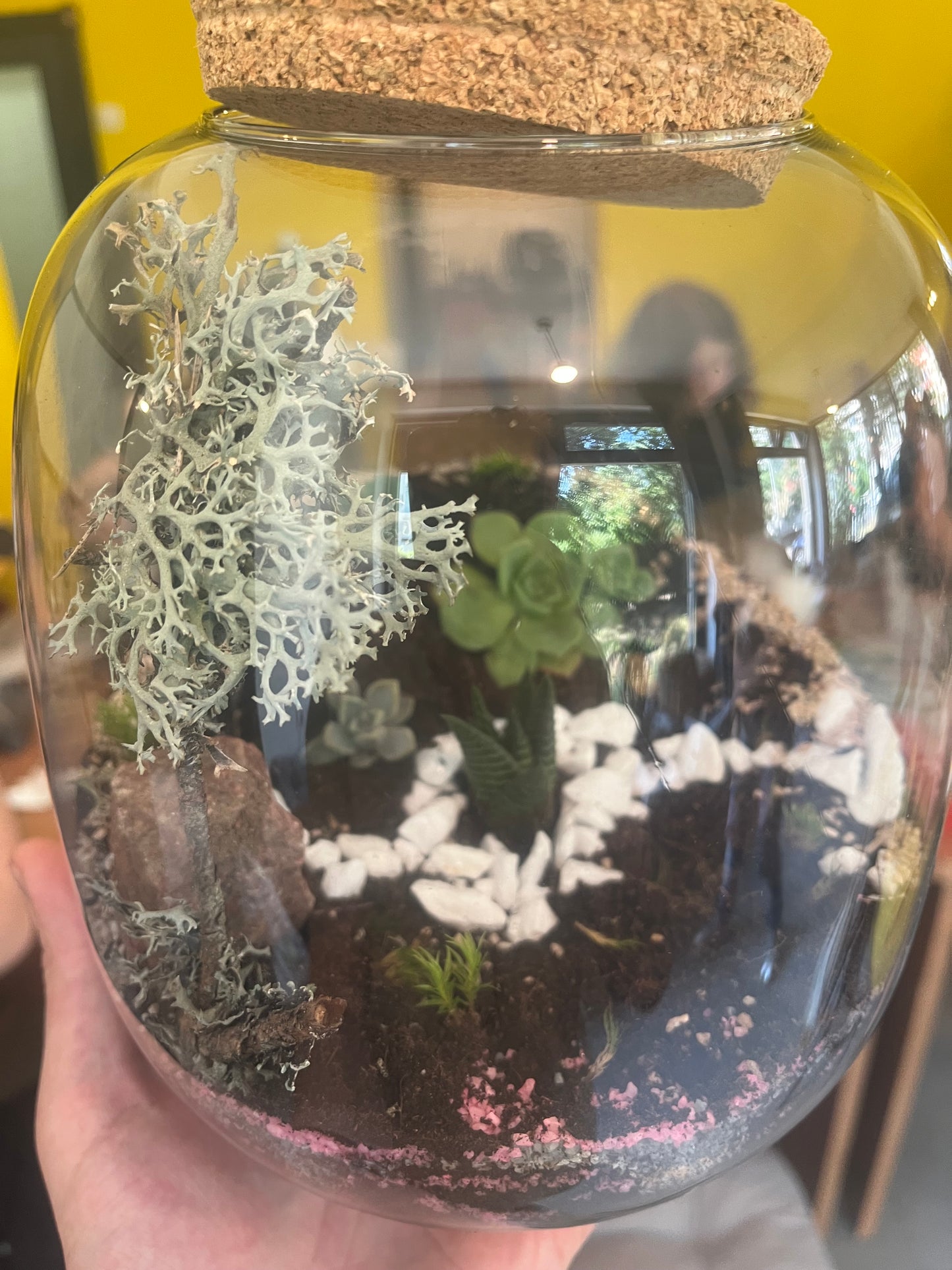Terrarium Glass Container - Cork Top