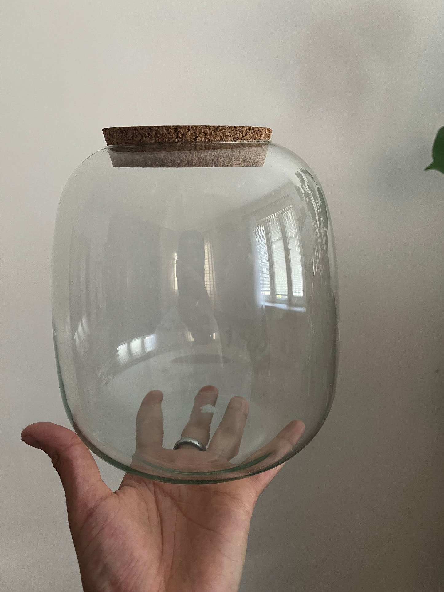 Terrarium Glass Container - Cork Top