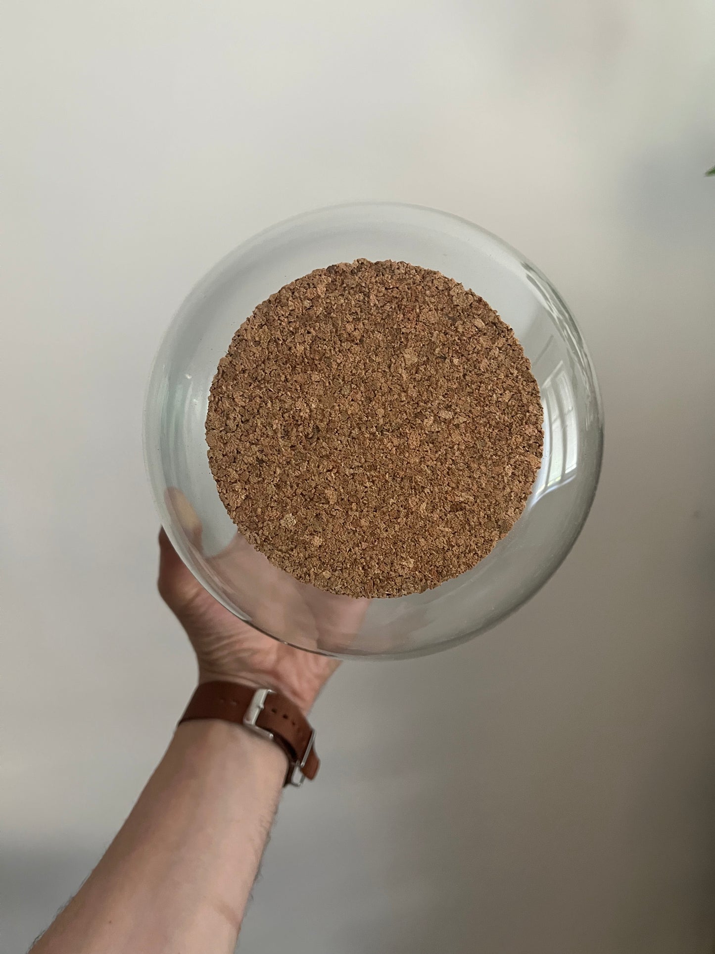 Terrarium Glass Container - Cork Top