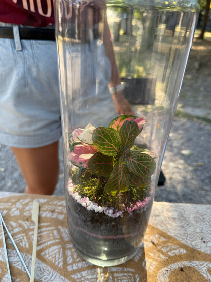 Terrarium Workshop - 28th September Sofia
