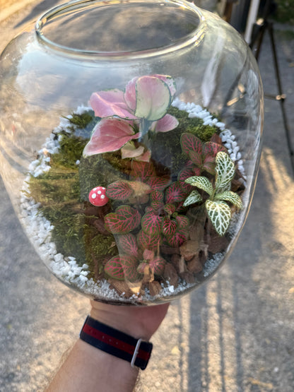 Terrarium Workshop - 2nd August Sofia