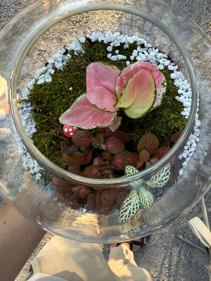 Terrarium Workshop - 28th September Sofia
