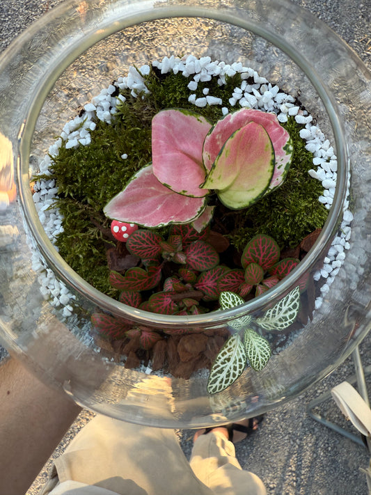 Terrarium Workshop - 28th September Sofia