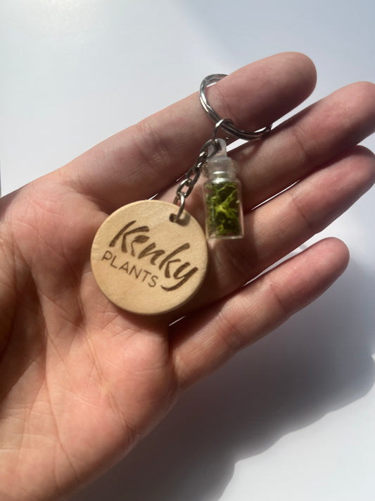 Bottle of Life – Moss Keychain