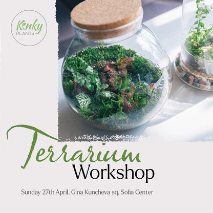 Terrarium Workshop - Sofia 27th April