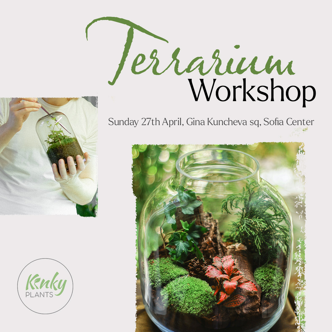 Terrarium Workshop - Sofia 27th April