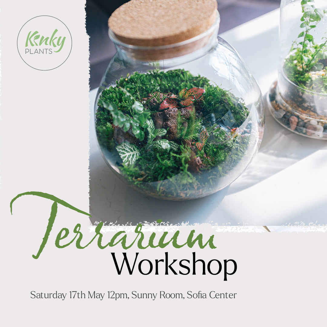 Terrarium Workshop - Sofia 17th May