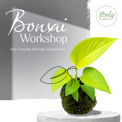 Bonsai Workshop - 18th May Sofia