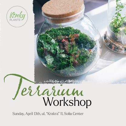 Terrarium Workshop - Sofia 13th April