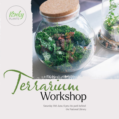 Terrarium Workshop - 14th June Sofia