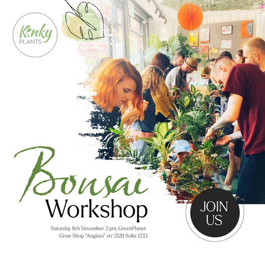 Bonsai Workshop - 8th November Sofia