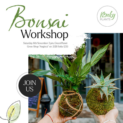 Bonsai Workshop - 8th November Sofia
