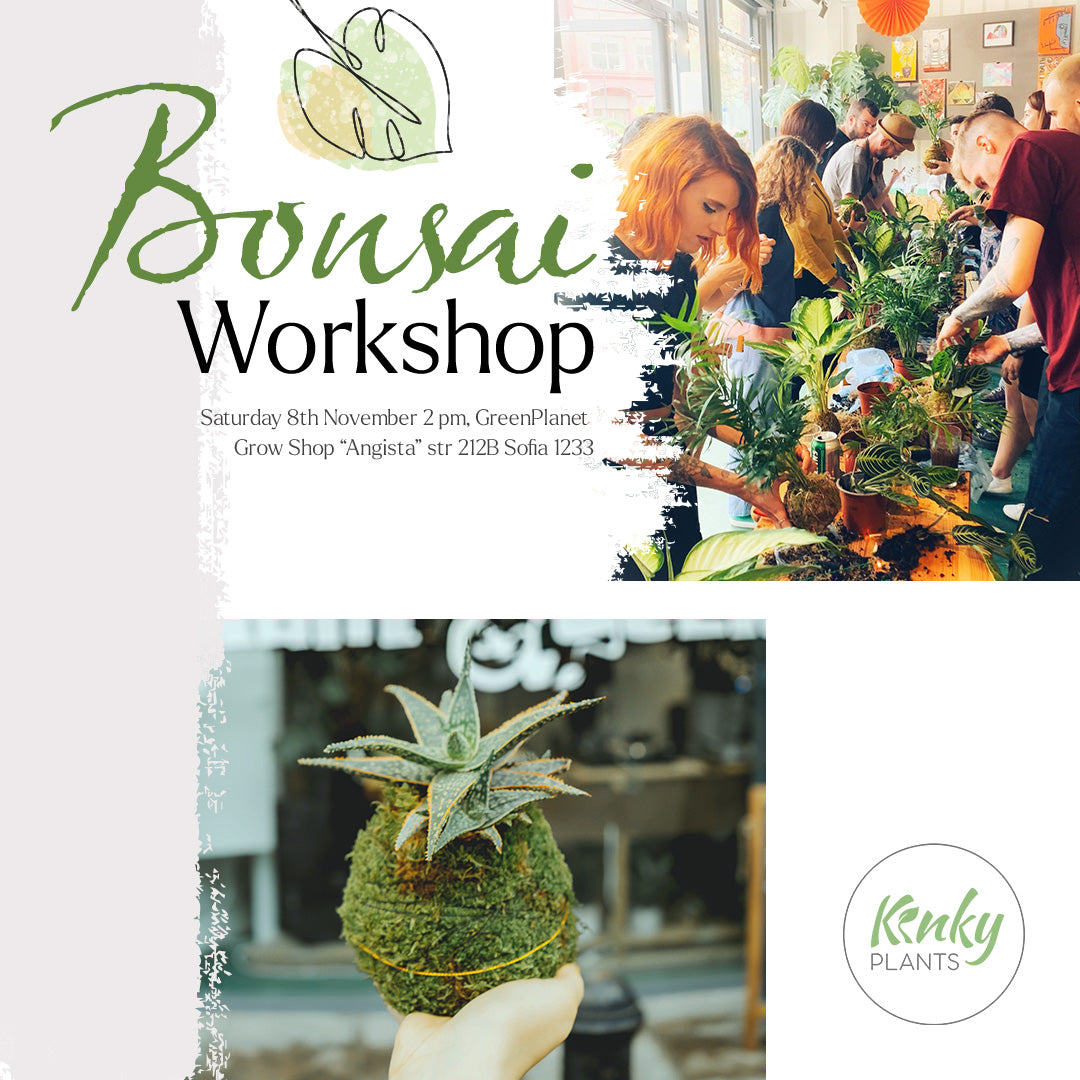 Bonsai Workshop - 8th November Sofia
