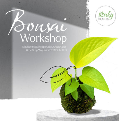 Bonsai Workshop - 8th November Sofia