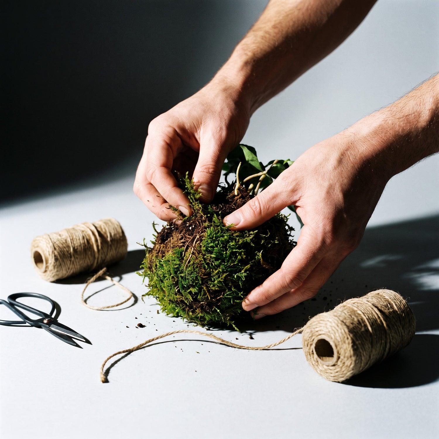 Hands wrapping moss around plant roots to make a kokedama