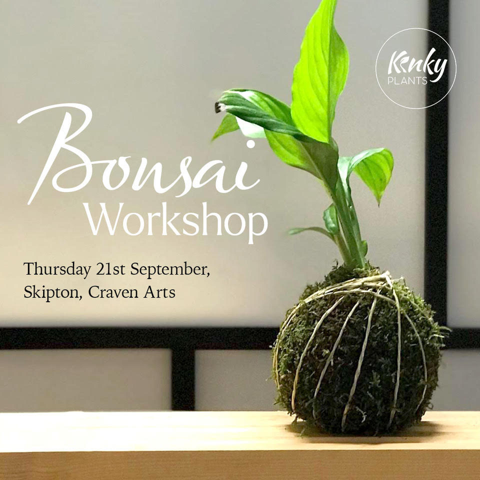 Bonsai Workshop - Kokedama (Skipton) vol 2